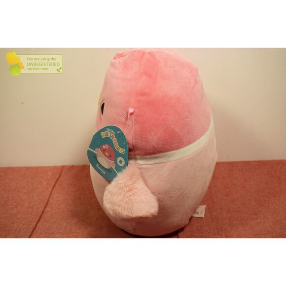 Squishmallows 11" Sakura Mallard Duck Little Plush - Picture 3 of 6